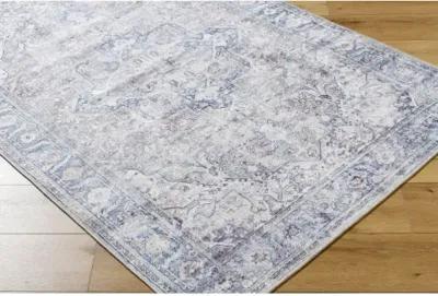 Georgina GOR-2303 2'7" x 12' Machine Woven Rug