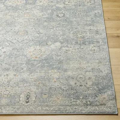 Alpharetta APH-2319 9'2" x 12' Machine Woven Rug