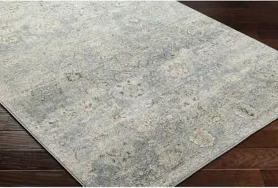 Alpharetta APH-2319 9'2" x 12' Machine Woven Rug