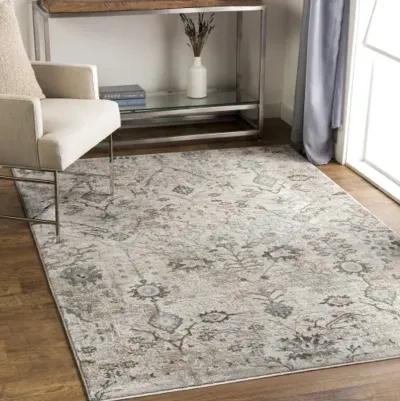 Brunswick BWK-2311 2'7" x 7'3" Rug