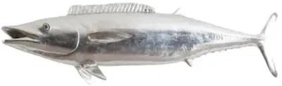 wahoo fish, silver leaf