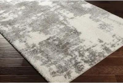 Cloudy Shag CDG-2318 5'3" x 7' Machine Woven Rug