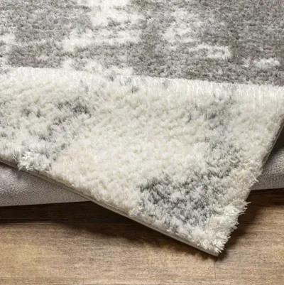 Cloudy Shag CDG-2318 5'3" x 7' Machine Woven Rug