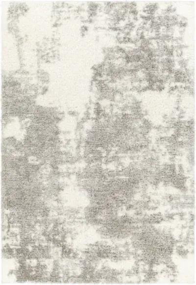 Cloudy Shag CDG-2318 5'3" x 7' Machine Woven Rug