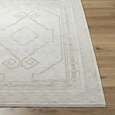 Emory EMO-2309 2'7" x 10' Machine Woven Rug