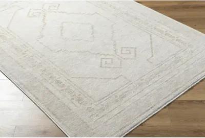 Emory EMO-2309 2'7" x 10' Machine Woven Rug