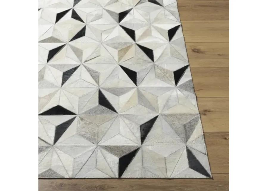 Trail 8' x 10' Rug