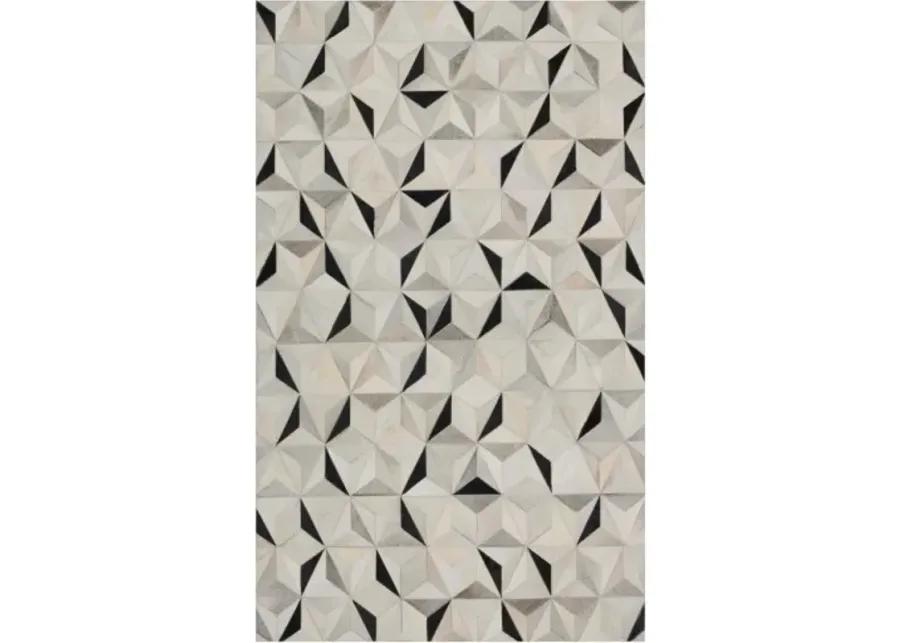 Trail 8' x 10' Rug