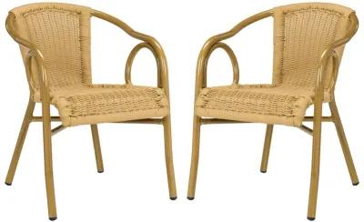 Dagny  Arm Chair - Set of 2