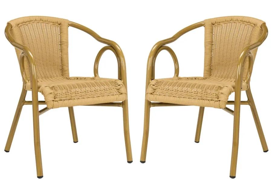 Dagny  Arm Chair - Set of 2