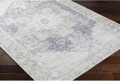 Amelie AML-2363 2'7" x 18' Machine Woven Rug