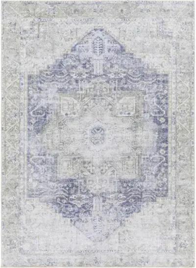 Amelie AML-2363 2'7" x 18' Machine Woven Rug