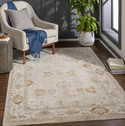 Avant Garde AVT-2310 2'7" x 10' Rug