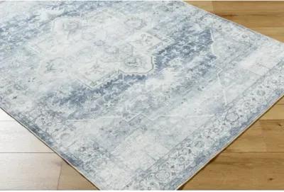 Lavable LVB-2317 2'7" x 4' Machine Woven Rug