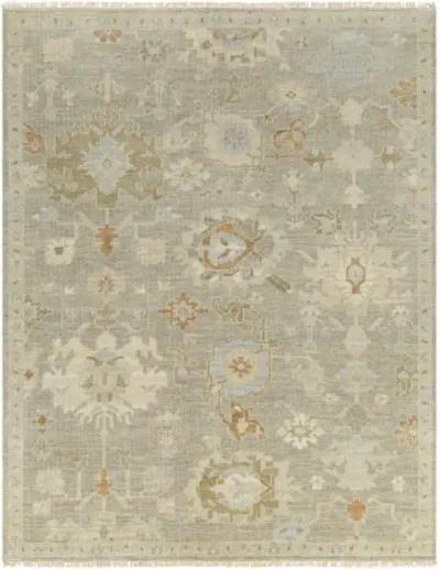 Antalya AAT-2300 8' x 10' Handmade Rug