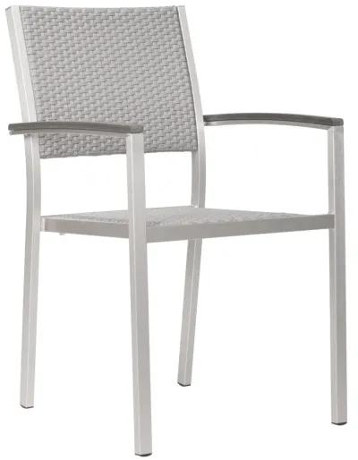 Metropolitan Dining Arm Chair (Set of 2) Gray & Silver