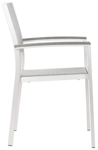 Metropolitan Dining Arm Chair (Set of 2) Gray & Silver