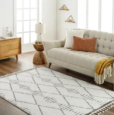 Valencia VLC-2316 5'3" x 7' Machine Woven Rug