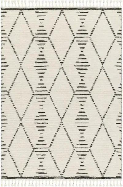 Valencia VLC-2316 5'3" x 7' Machine Woven Rug