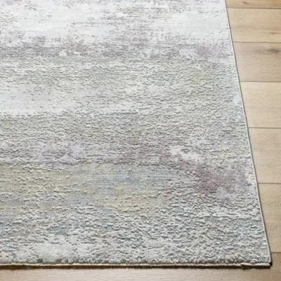 Brunswick BWK-2328 2'7" x 3'11" Machine Woven Rug