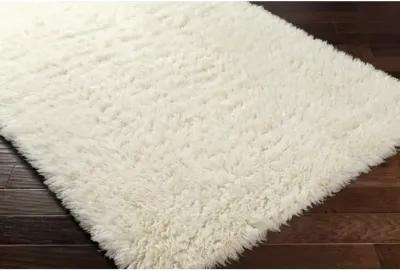 Alpaca APC-2300 2' x 3' Hand Made Rug