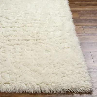 Alpaca APC-2300 2' x 3' Hand Made Rug