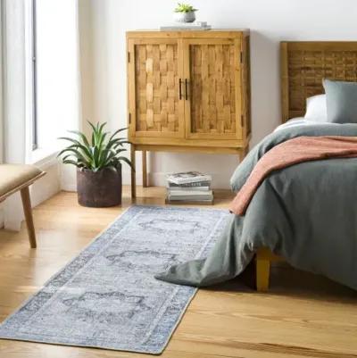 Amelie AML-2359 2'7" x 14' Rug