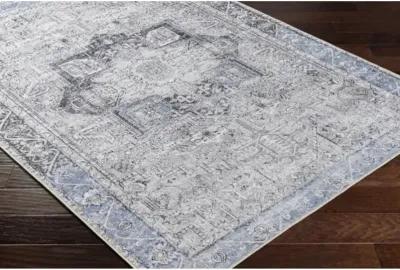 Amelie AML-2359 2'7" x 14' Rug