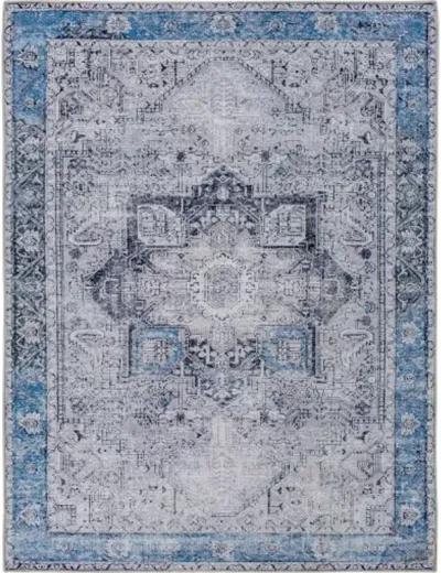 Amelie AML-2359 2'7" x 14' Rug