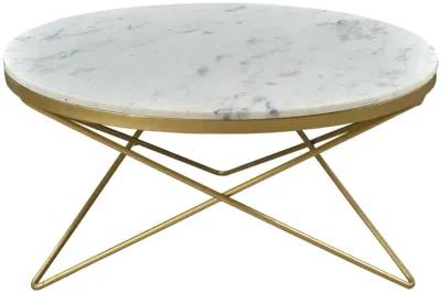 Haley Coffee Table