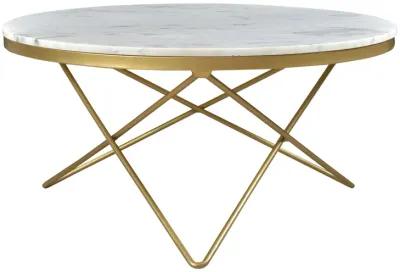 Haley Coffee Table