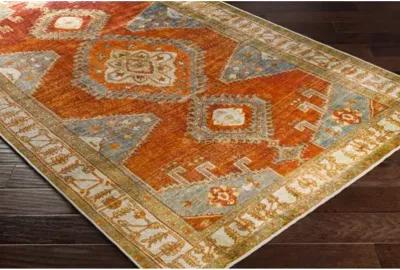 Lavable 2'6" x 4' Rug