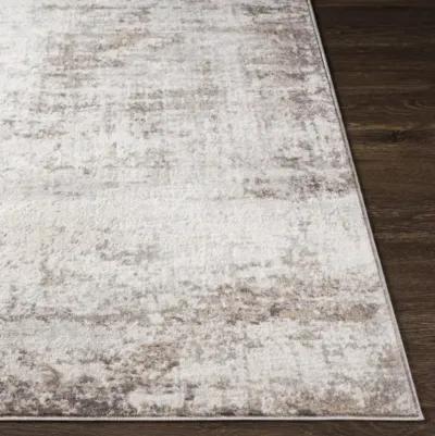 Roma 9'10" x 14' Rug