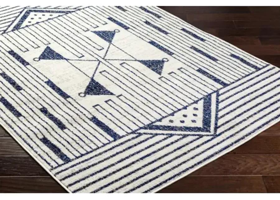 Pisa PSS-2376 5' x 7' Machine Woven Rug