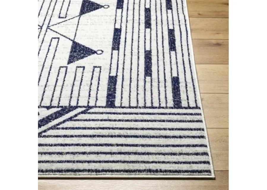 Pisa PSS-2376 5' x 7' Machine Woven Rug