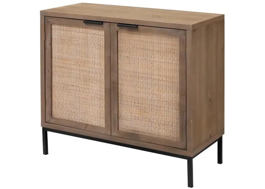 Reed 2-Door Accent Cabinet