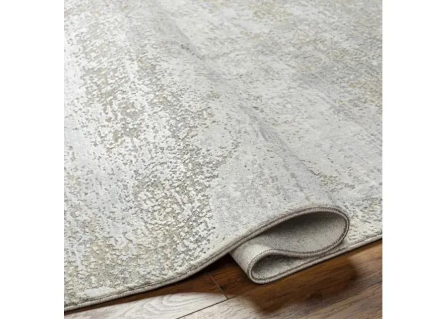 Brunswick BWK-2325 6'7" x 9'6" Machine Woven Rug