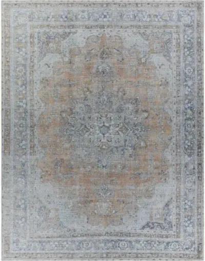 Tahmis 8'10" x 12' Rug