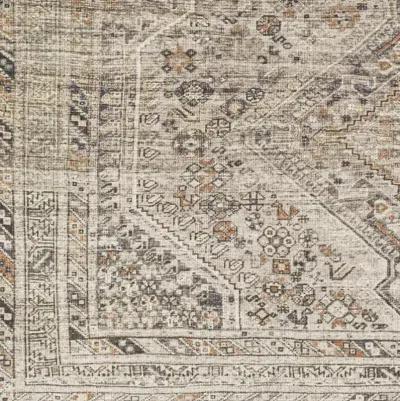 Amelie AML-2383 2'7" x 7'10" Machine Woven Rug