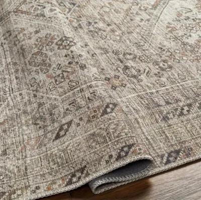 Amelie AML-2383 2'7" x 7'10" Machine Woven Rug