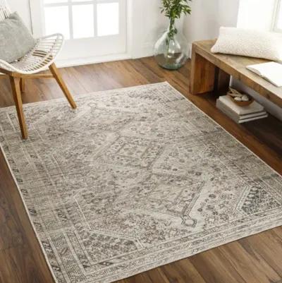 Amelie AML-2383 2'7" x 7'10" Machine Woven Rug