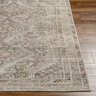 Amelie AML-2383 2'7" x 7'10" Machine Woven Rug