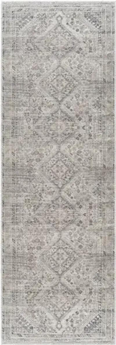 Amelie AML-2383 2'7" x 7'10" Machine Woven Rug