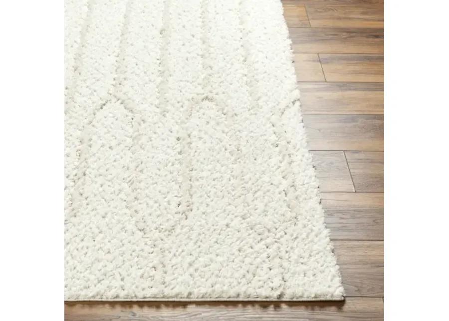 Maryland Shag MSG-2301 5'3" x 7' Machine Woven Rug