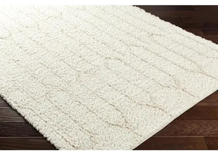 Maryland Shag MSG-2301 5'3" x 7' Machine Woven Rug