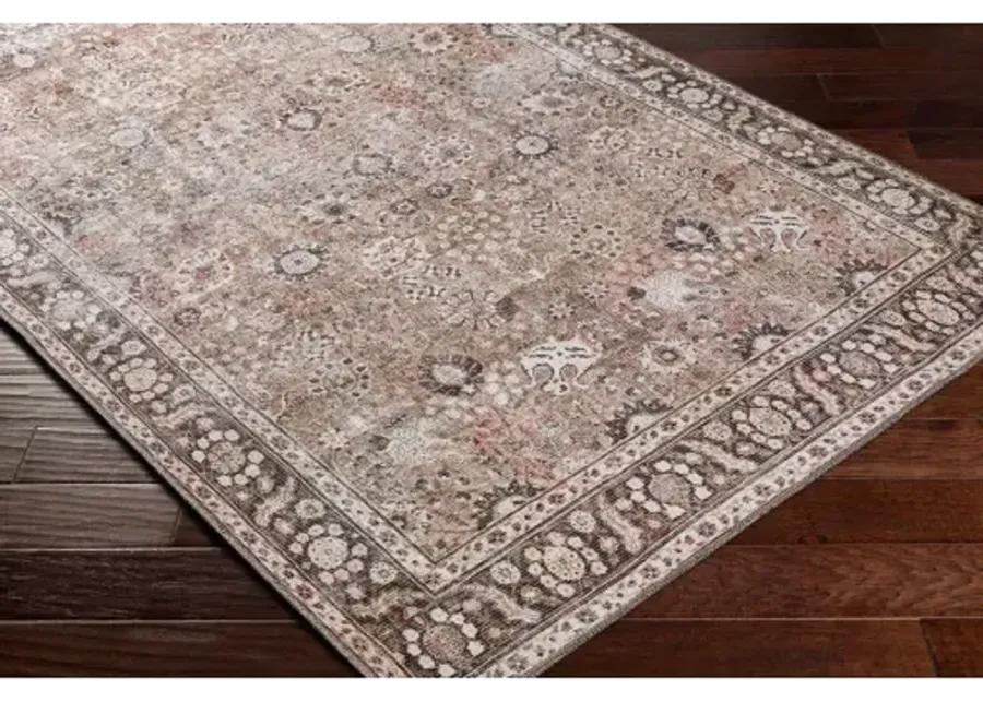 Colin CLN-2300 2'7" x 7'3" Rug