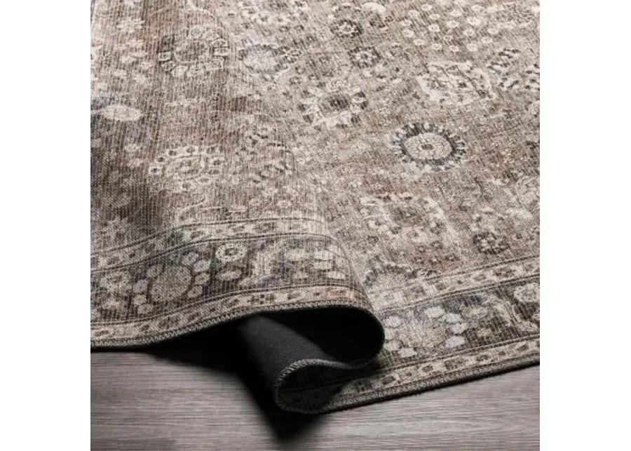 Colin CLN-2300 2'7" x 7'3" Rug