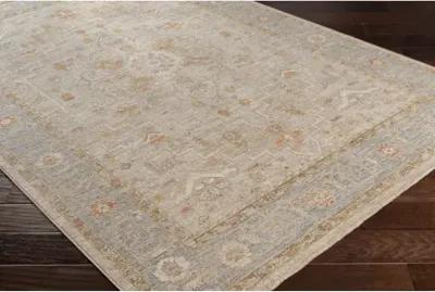 Avant Garde AVT-2316 2'7" x 7'3" Rug