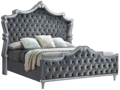 Antonella Upholstered Tufted Queen Bed Grey