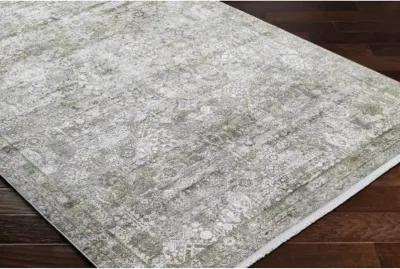 Solar SOR-2325 3'1" x 8' Machine Woven Rug